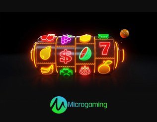 top-5-microgaming-slots